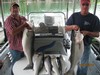 (06/02/2015) - Nice Striped Bass